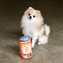 Load image into Gallery viewer, Service Brewing Compass Rose Can Dog Toy