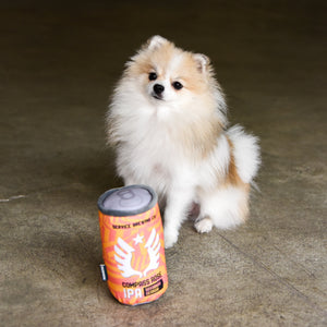 Service Brewing Compass Rose Can Dog Toy