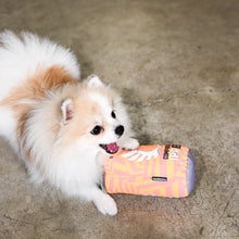 Load image into Gallery viewer, Service Brewing Compass Rose Can Dog Toy