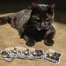 Load image into Gallery viewer, Blackhawk Sticker